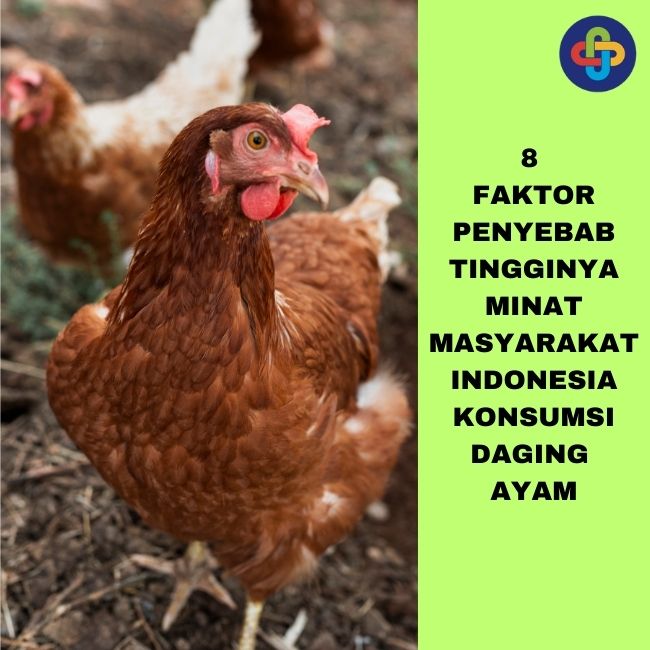 Bagaimana Permintaan Ayam di Indonesia?